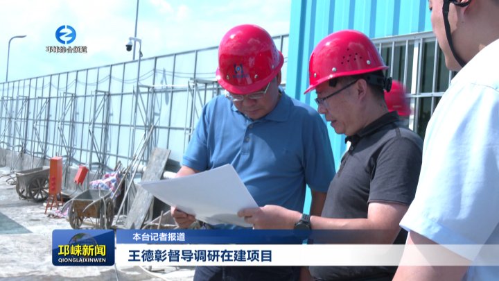 【20250910】王德彰督导调研在建项目