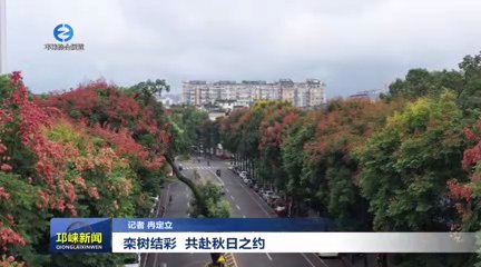【20250916】栾树结彩 共赴秋日之约