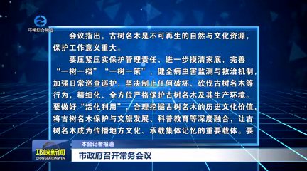 【20250916】市政府召开常务会议