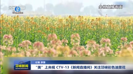 20250303 CCTV-13ֱ䡷עɫͲ˻