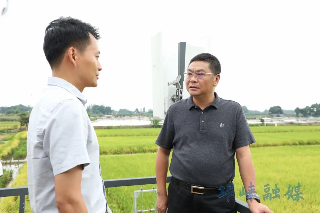 王德彰调研国家农村综合性改革试点试验项目工作