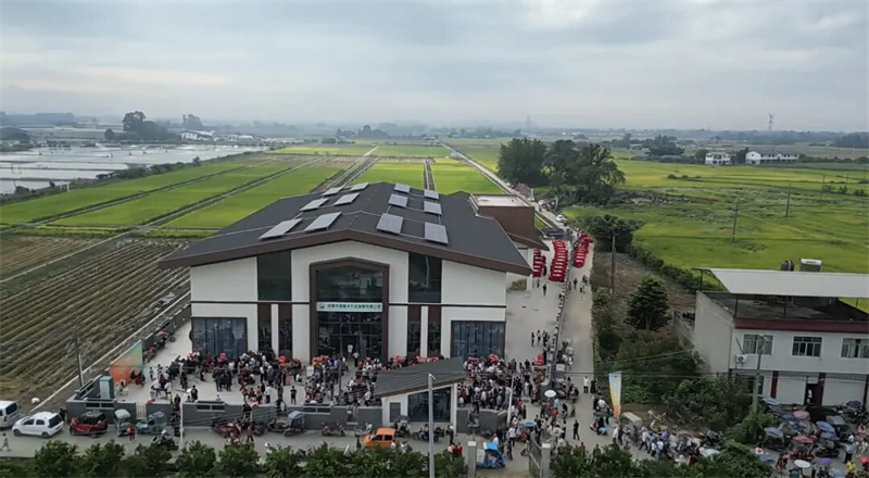 高埂丰收节喜降“分红雨”，智慧农田玩转新科技