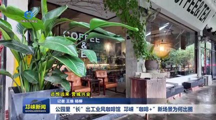 【20251103】公园里“长”出工业风咖啡馆！邛崃“咖啡+”新场景为何出圈？