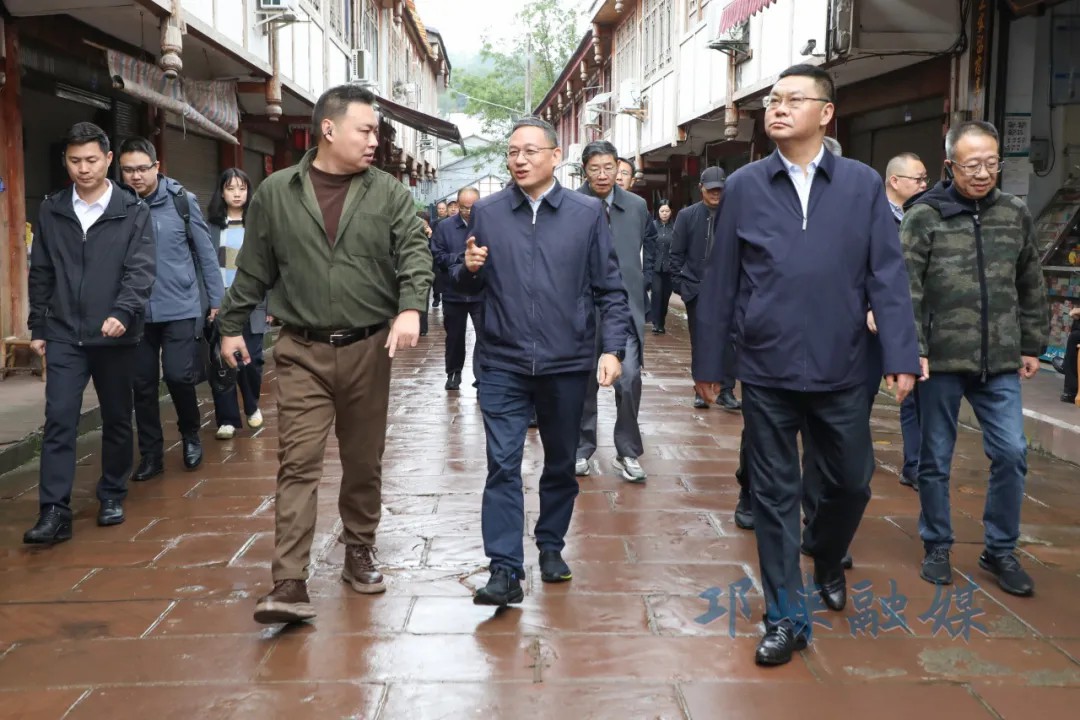 省政协副主席刘旭光一行到邛调研宜居宜业和美乡村建设