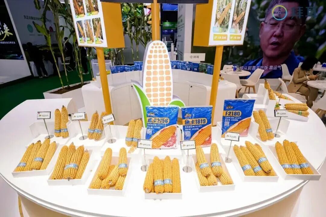 天府现代种业园参展上海进博会，借力全球平台招商引智