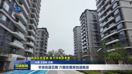 【20251107】羊安街道五期、六期安置房加速推进