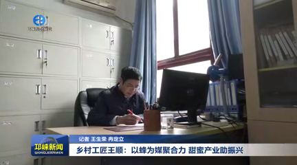 【20251119】乡村工匠王顺：以蜂为媒聚合力 甜蜜产业助振兴