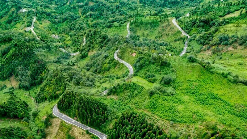 王德彰调研督导“四好农村路”建设工作