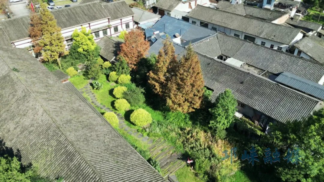 近悦远来·营城兴业丨“四方共治”激活乡村新动能，靖口村探索文商旅体融合之路