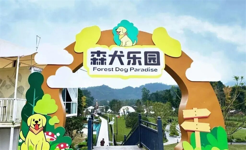宠物经济赋能乡村振兴，邛崃这个森犬乐园正式亮相