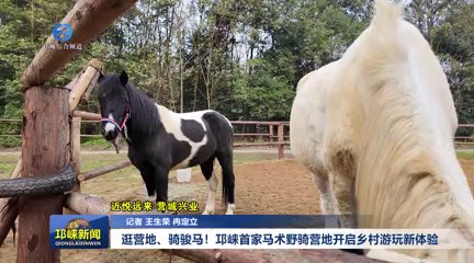 【20251126】逛营地、骑骏马！邛崃首家马术野骑营地开启乡村游玩新体验