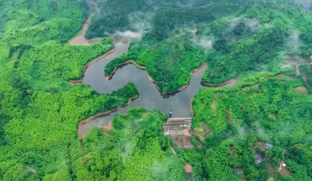 以品牌专业化激活社区治理新引擎 桑园镇社会工作支持中心正式启动