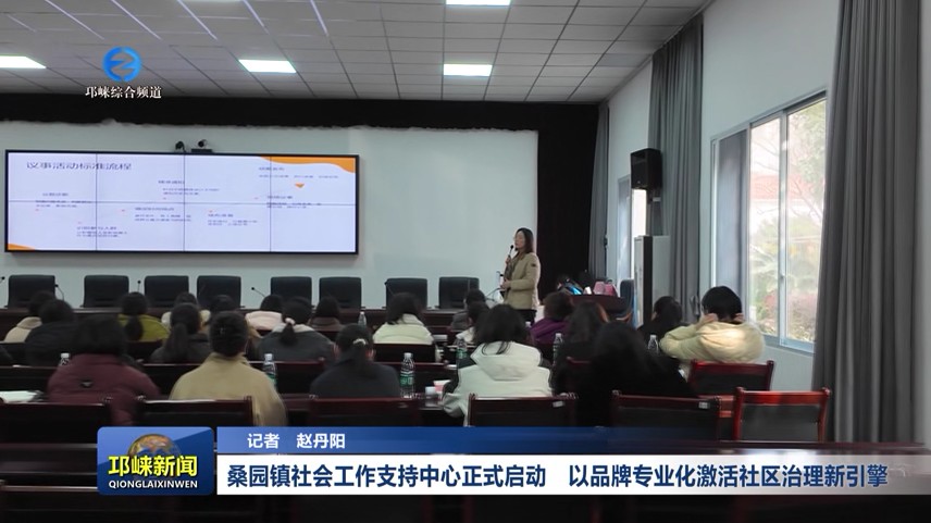 【20251128】桑园镇社会工作支持中心正式启动！以品牌专业化激活社区治理新引擎