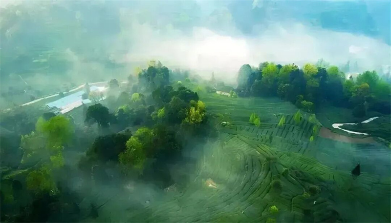 近悦远来·营城兴业丨邛崃林盘方寸之间，重塑文旅新经济