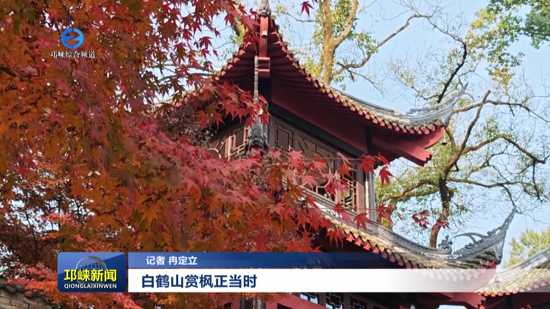 【20251202】白鹤山赏枫正当时