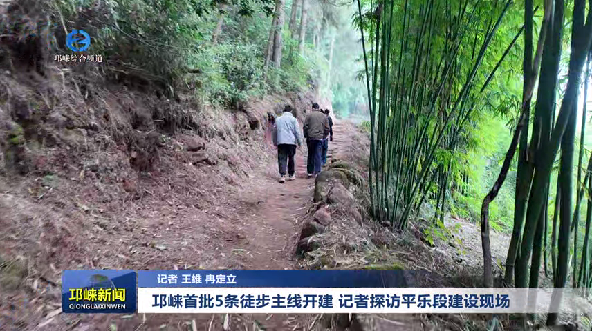 【20251212】邛崃首批5条徒步主线开建 记者探访平乐段建设现场