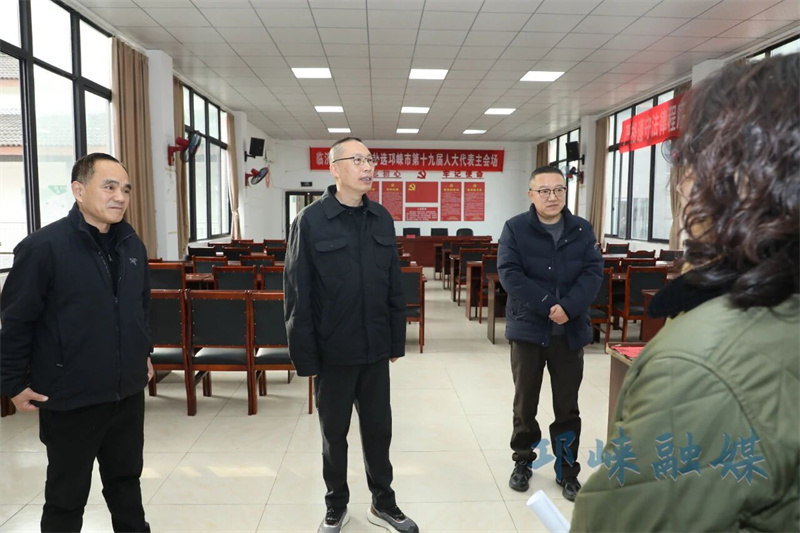 王瑞平指导邛崃市第十九届人大代表补选工作