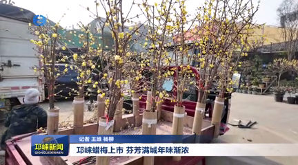 【20260113】邛崃蜡梅上市，芬芳满城年味渐浓