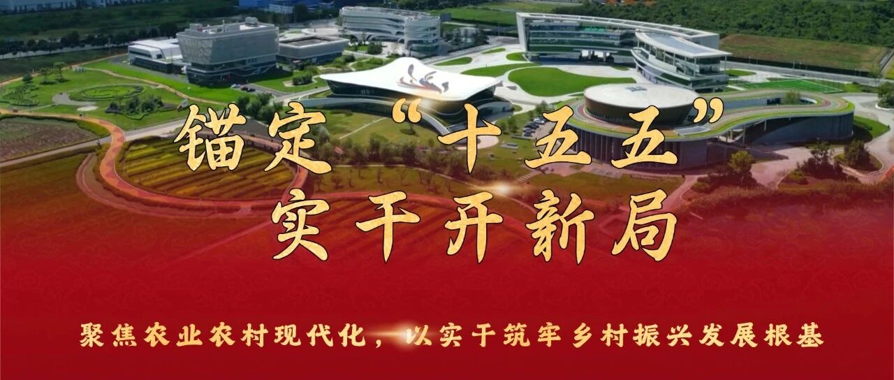 锚定“十五五”，实干开新局丨聚焦农业农村现代化，以实干筑牢乡村振兴发展根基
