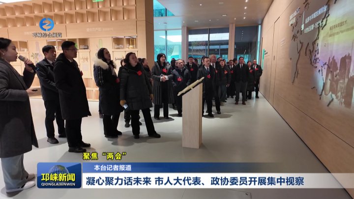 【20260120】凝心聚力话未来 市人大代表、政协委员开展集中视察