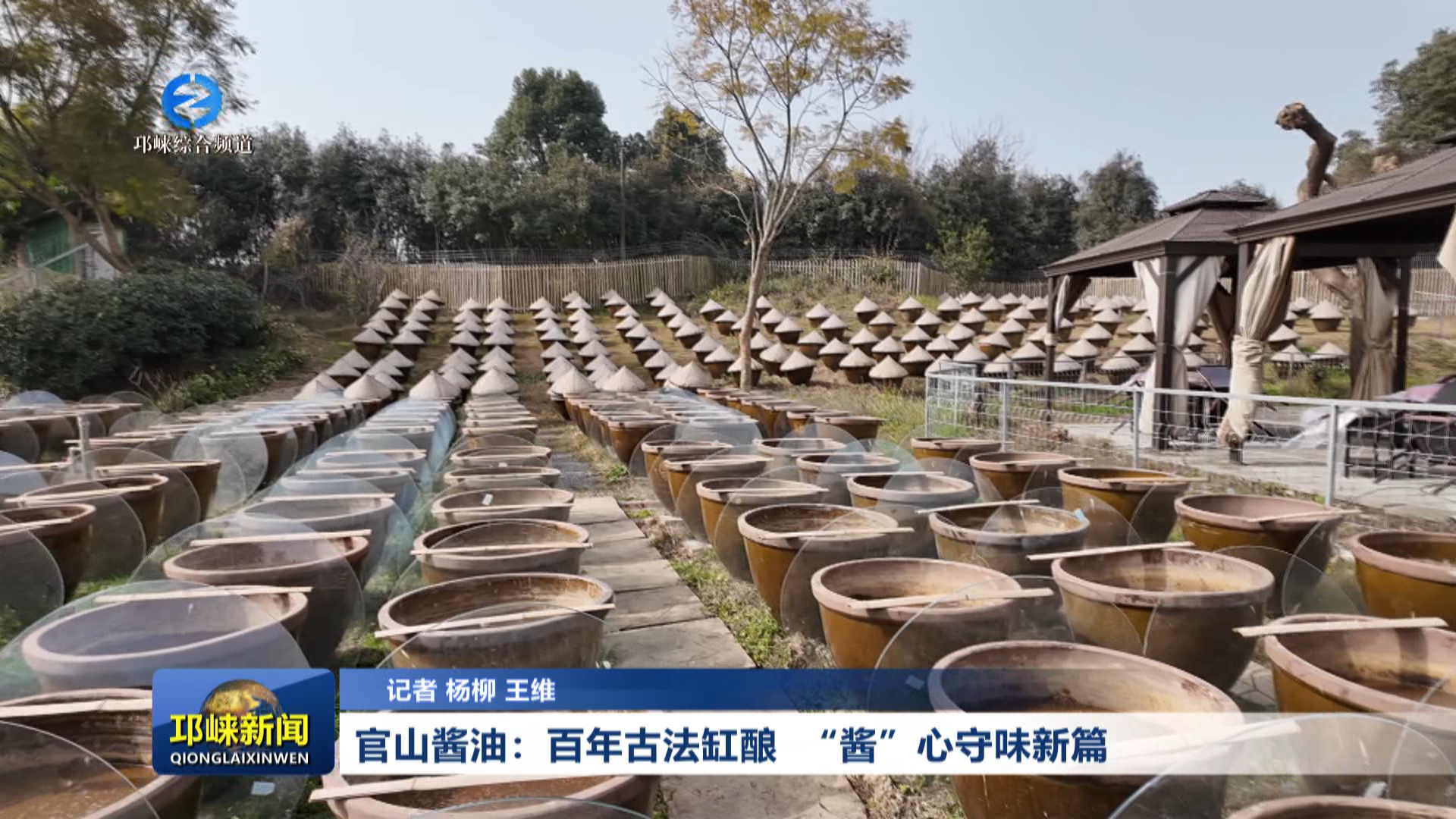 【20260128】官山酱油：百年古法缸酿  “酱”心守味新篇