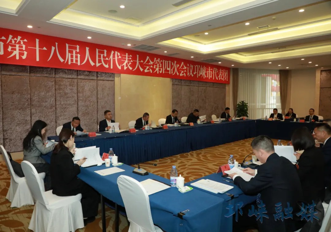 邛崃市代表团举行全体会议，审议“一府两院”工作报告及成都市人大常委会工作报告