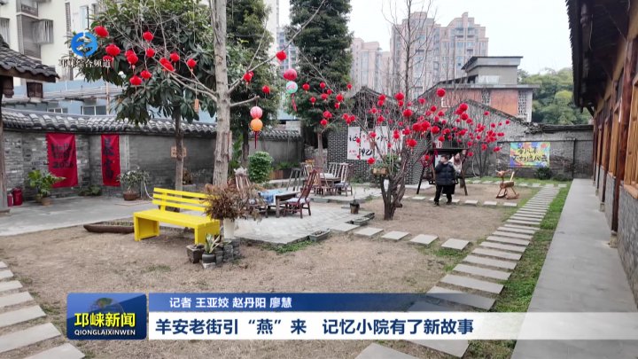 【20260130】羊安老街引“燕”来 记忆小院有了新故事
