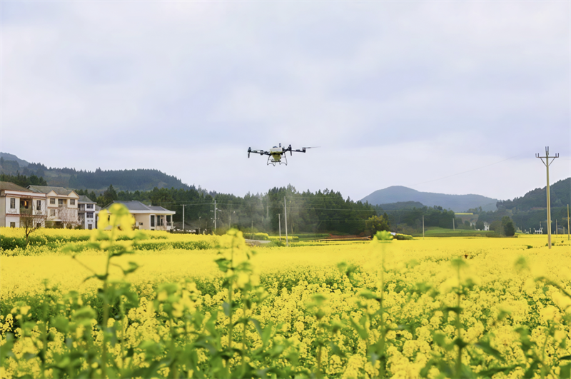 “崃帮农”小程序上线，助力农户轻松种地
