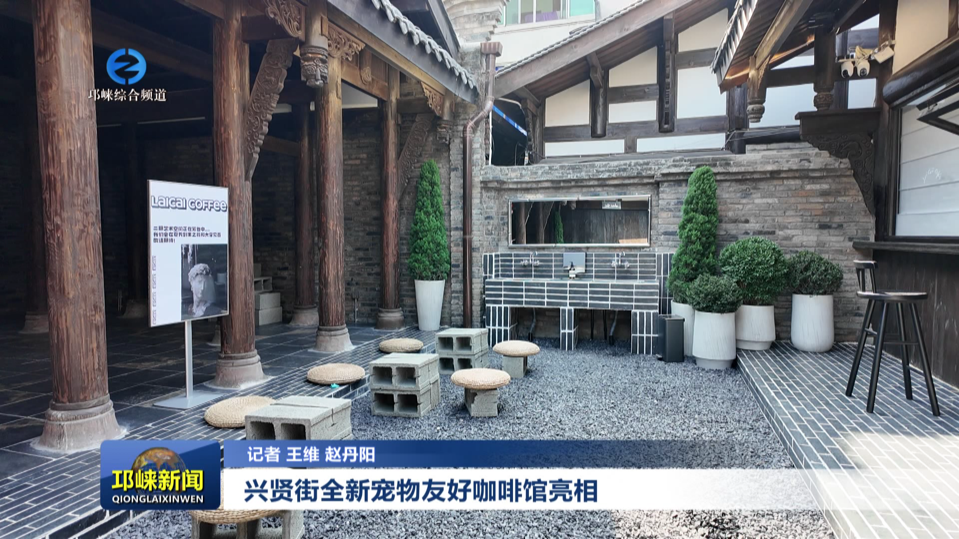 【20260213】兴贤街全新宠物友好咖啡馆亮相