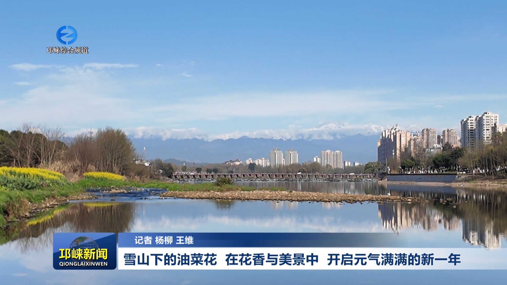 【20260224】雪山下的油菜花 在花香与美景中 开启元气满满的新一年