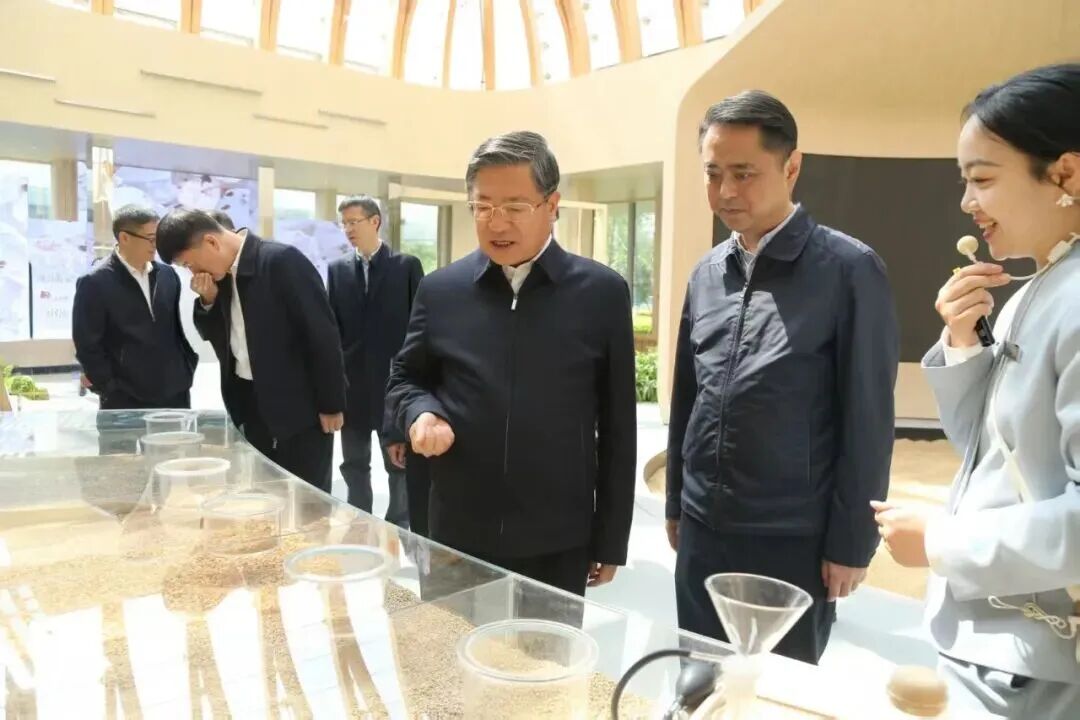 何礼在邛崃市调研