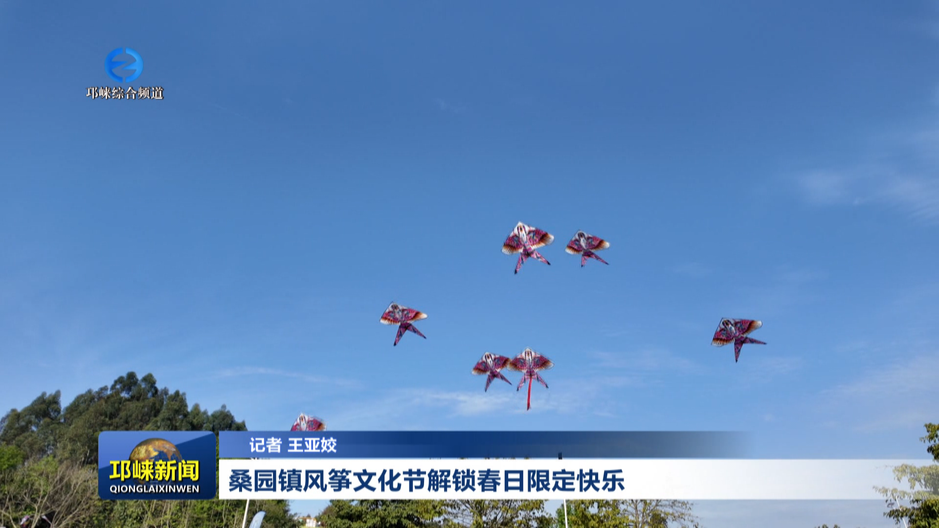 【20260330】桑园镇风筝文化节解锁春日限定快乐