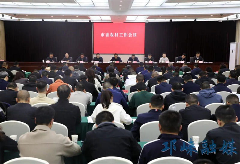 市委农村工作会议召开