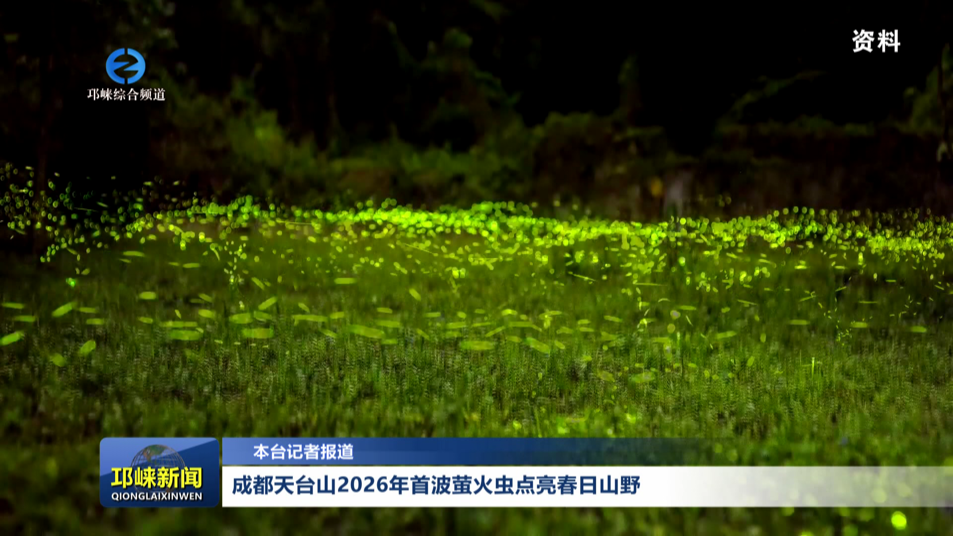 【20260413】成都天台山2026年首波萤火虫点亮春日山野