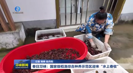 【20260414】春日邛崃：国家级稻渔示范区迎来“水上春收”