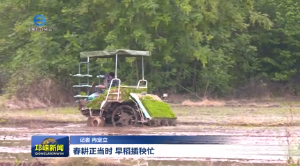 【20260422】春耕正当时 早稻插秧忙