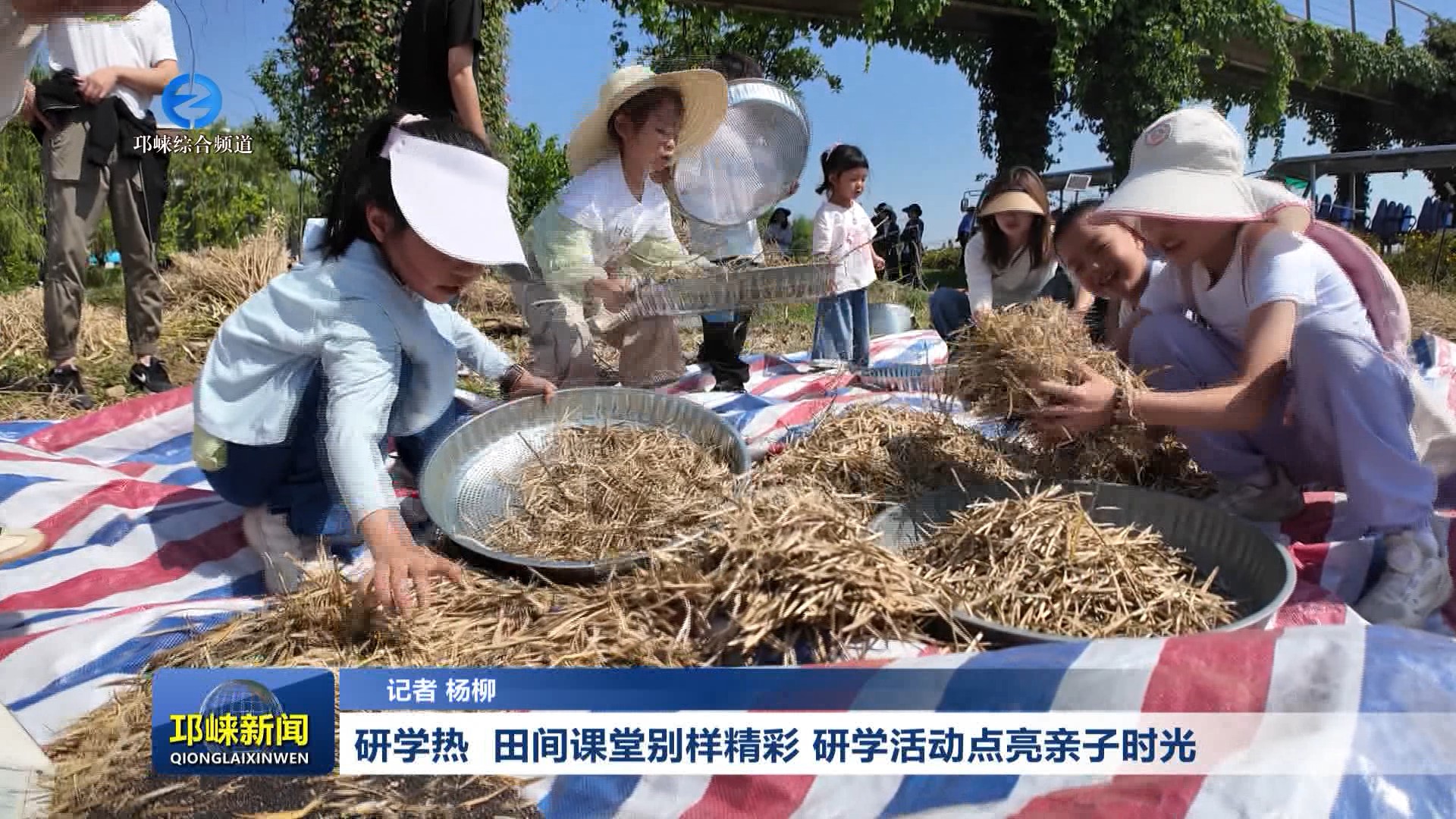 【20260506】研学热  田间课堂别样精彩 研学活动点亮亲子时光