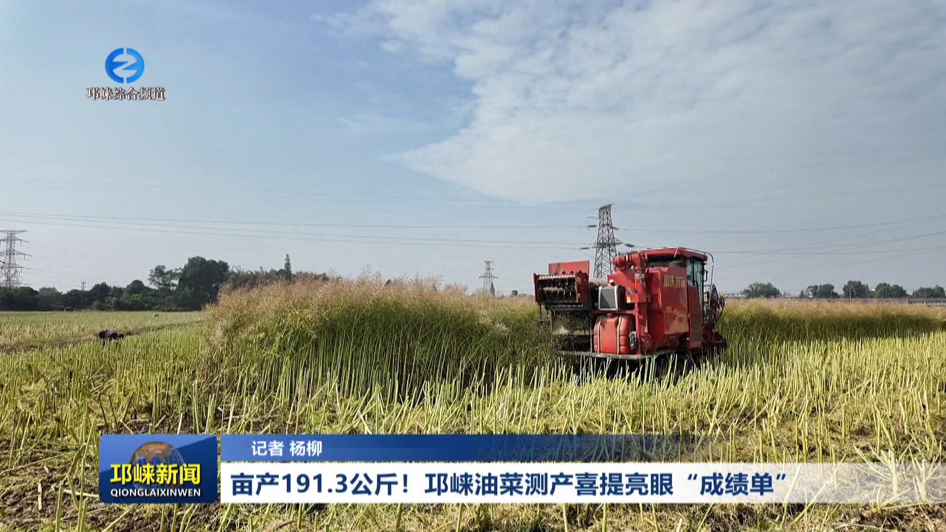 【20260509】亩产191.3公斤！邛崃油菜测产喜提亮眼“成绩单”