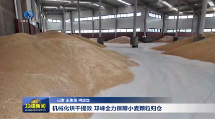 【20260512】机械化烘干提效 邛崃全力保障小麦颗粒归仓