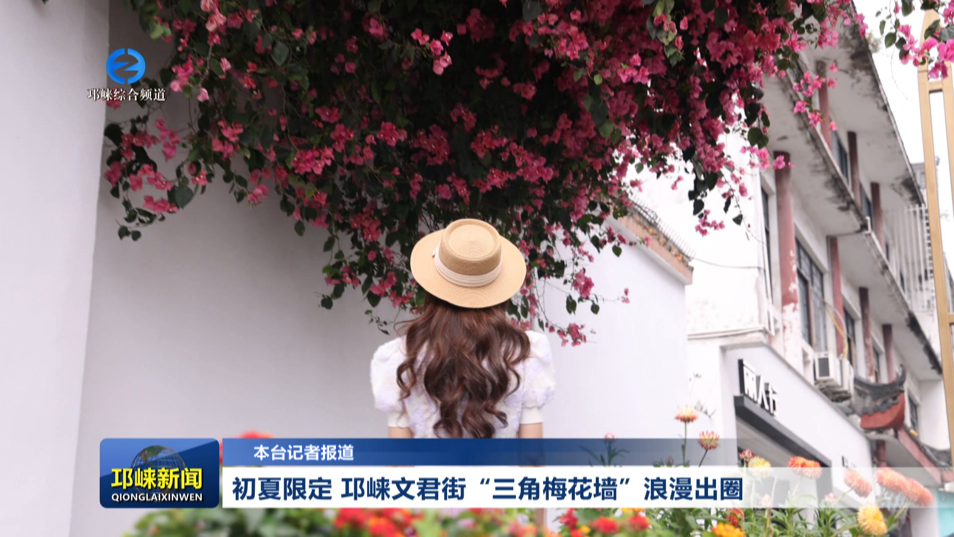 【20260514】初夏限定 邛崃文君街“三角梅花墙”浪漫出圈