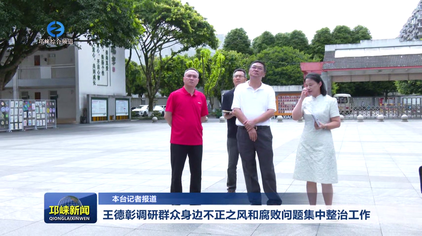 【20260608】王德彰调研群众身边不正之风和腐败问题集中整治工作