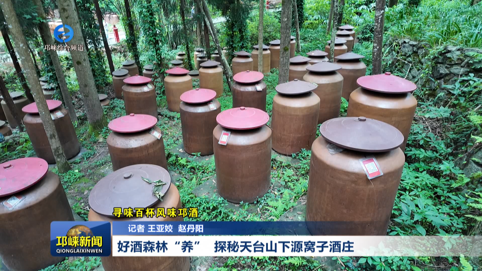 【20260617】好酒森林“养”  探秘天台山下源窝子酒庄