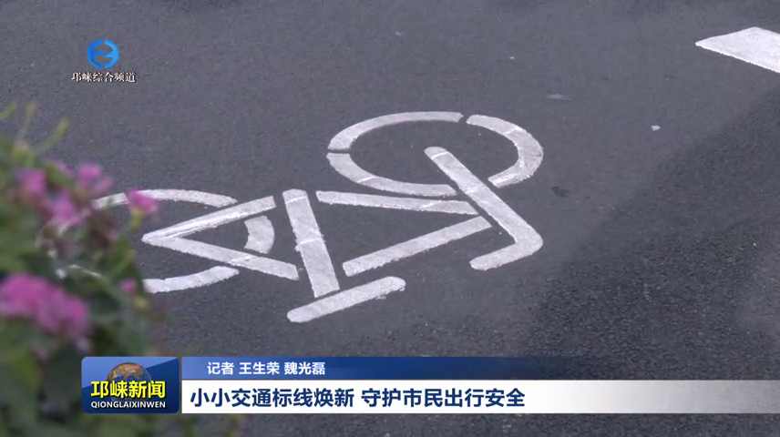 【20260702】小小交通标线焕新 守护市民出行安全