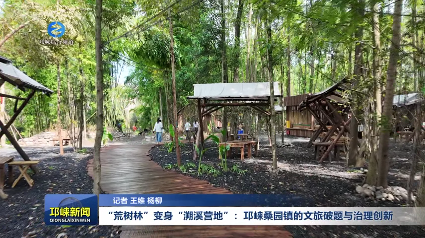 【20260715】“荒树林”变身“溯溪营地”：邛崃桑园镇的文旅破题与治理创新