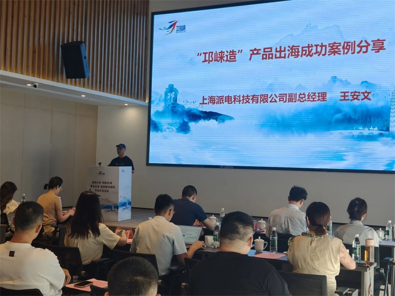 链接全球商机！“蓉品出海”专场活动助力企业逐浪国际市场
