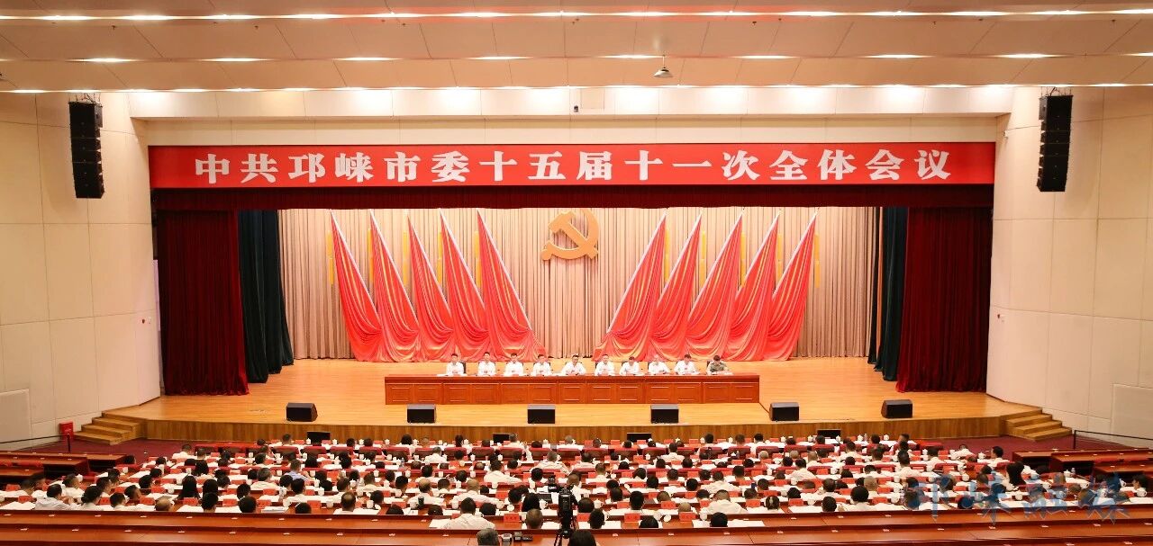 中国共产党邛崃市第十五届委员会第十一次全体会议决议