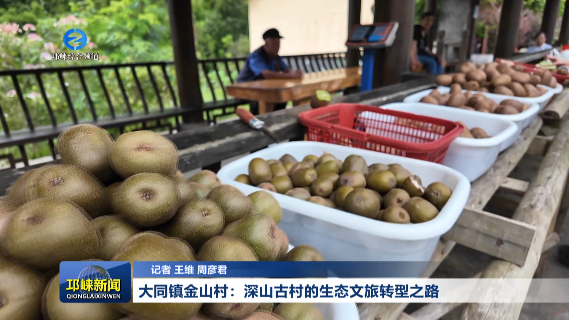 【20260915】大同镇金山村：深山古村的生态文旅转型之路