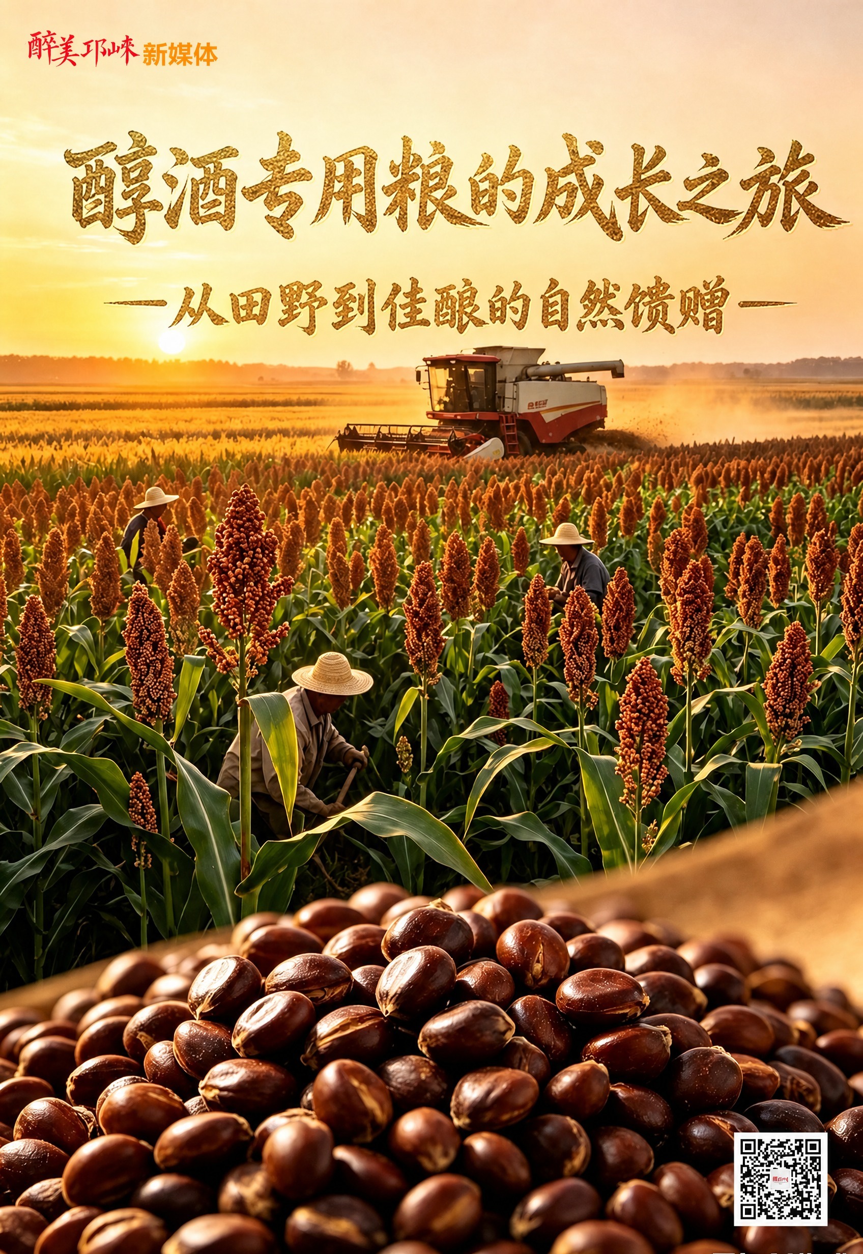 一粒“酿酒专用