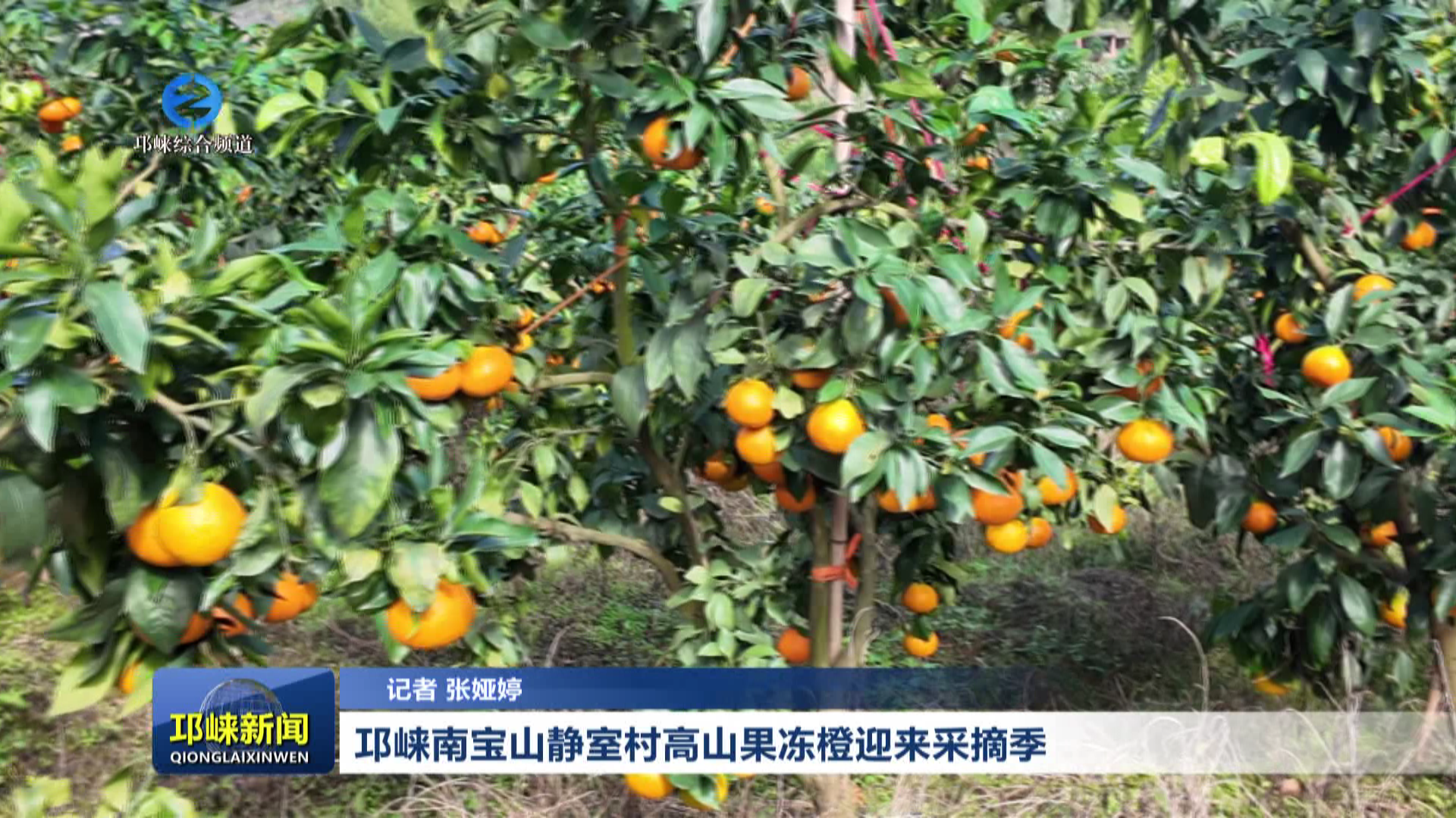 【20261013】邛崃南