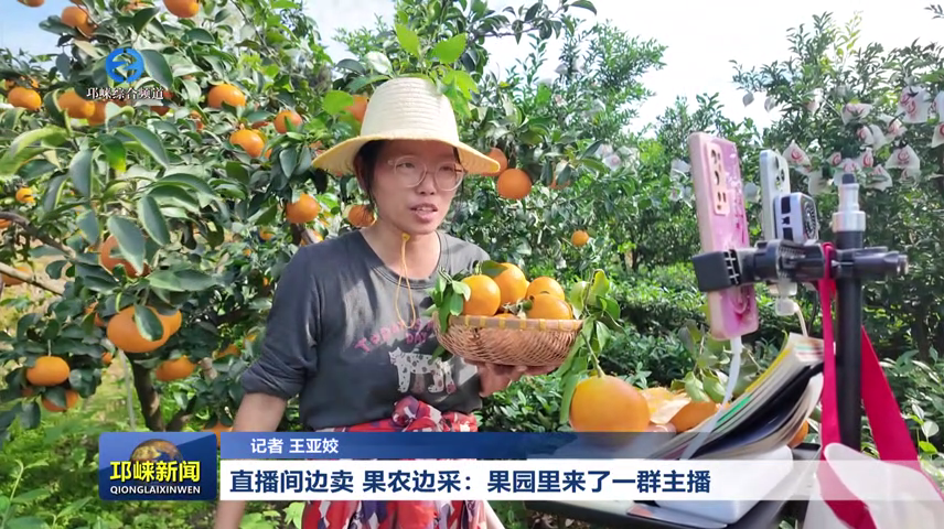【20261020】直播间